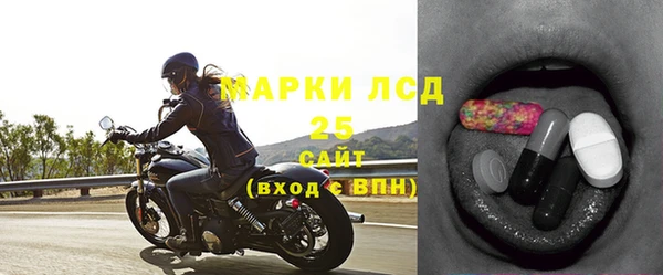 прущие грибы Балахна